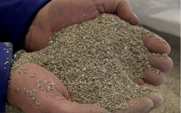 Zeeschelpenkalk Aegir