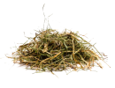 Buy herbal hay of BelFarm