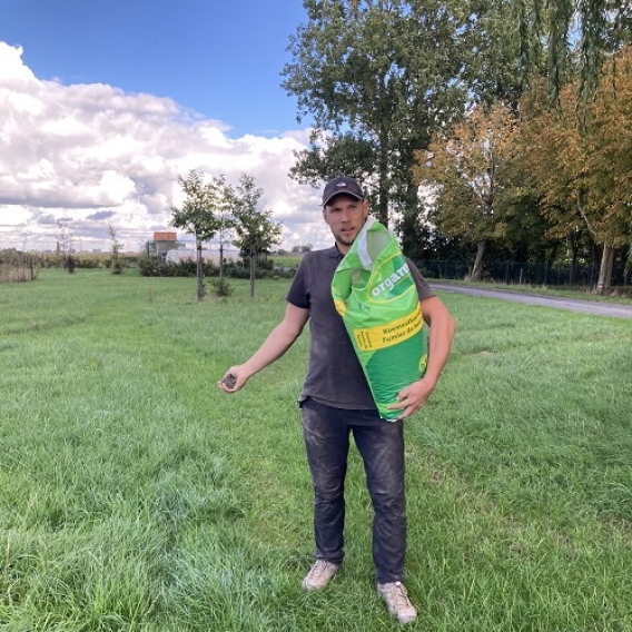 Cow manure pellet Cow manure pellet