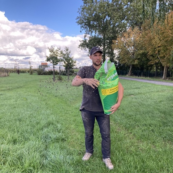 Cow manure pellet BelFarm Cow manure pellet BelFarm