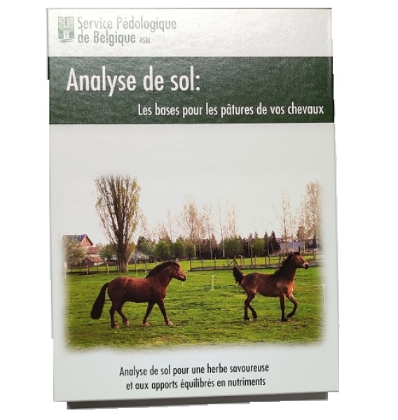 Contenu de la boîte à chevaux
