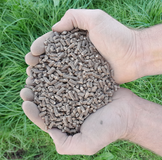 Biologische organische mestkorrels